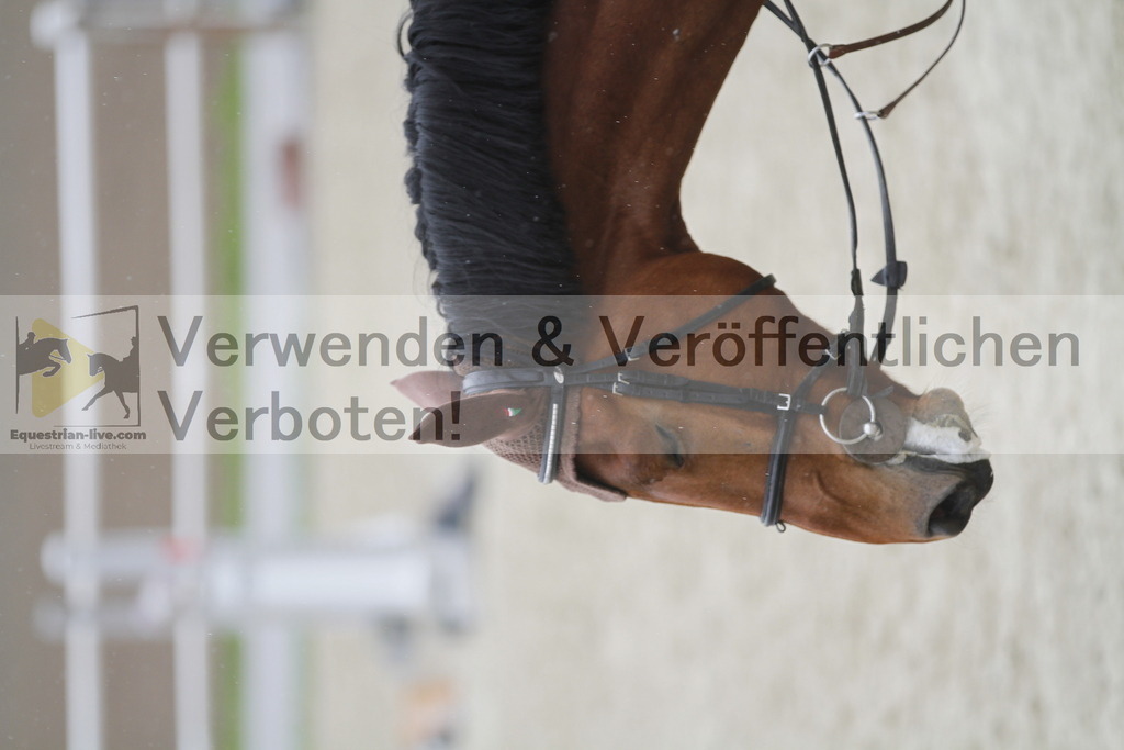 _MG_4088 | equestrian-live-com