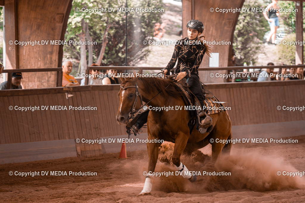 NE300756 | dv-media-shop - Realisiert mit Pictrs.com