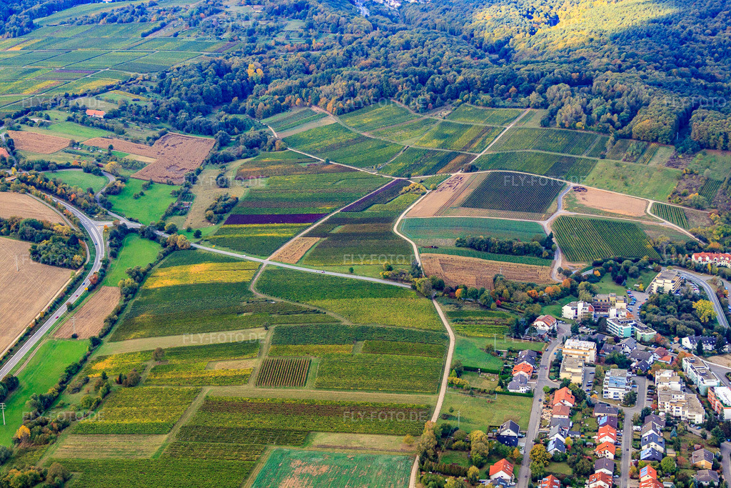 Luftbild: B38 in Dörrenbach im Bundesland Rheinland-Pfalz in Deutschland. Foto: IMG_22424.jpg vom 15.10.2009 durch Werner Riehm/FLY-FOTO.de