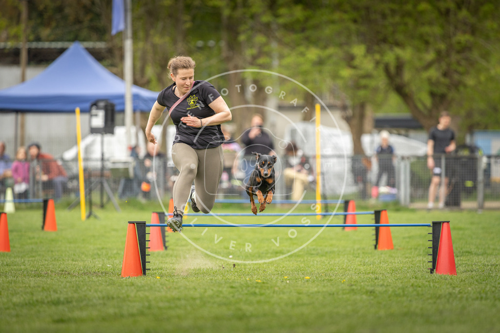 Pfotenfotografie_DV3A0598 | Hundefotografie, Tierfotograf, Pfotenfotografie, Fotoshooting Hund, Hunde Portrait, Hundesport, Hundeportraits, Heideshooting, Hunde, Sportfotograf, Hundefotograf, Turnierhundsport, THS,  - Realisiert mit Pictrs.com