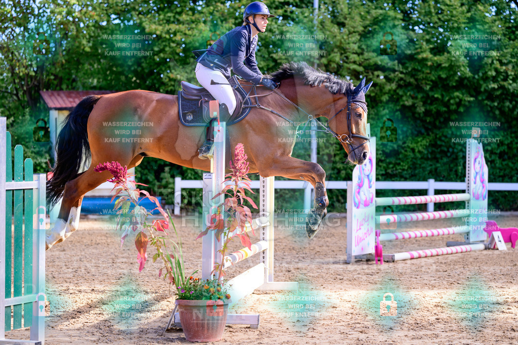 30082026-Giesenbach-Prfg16-0025 | Fokus Hufschlag Fotografie - Realisiert mit Pictrs.com