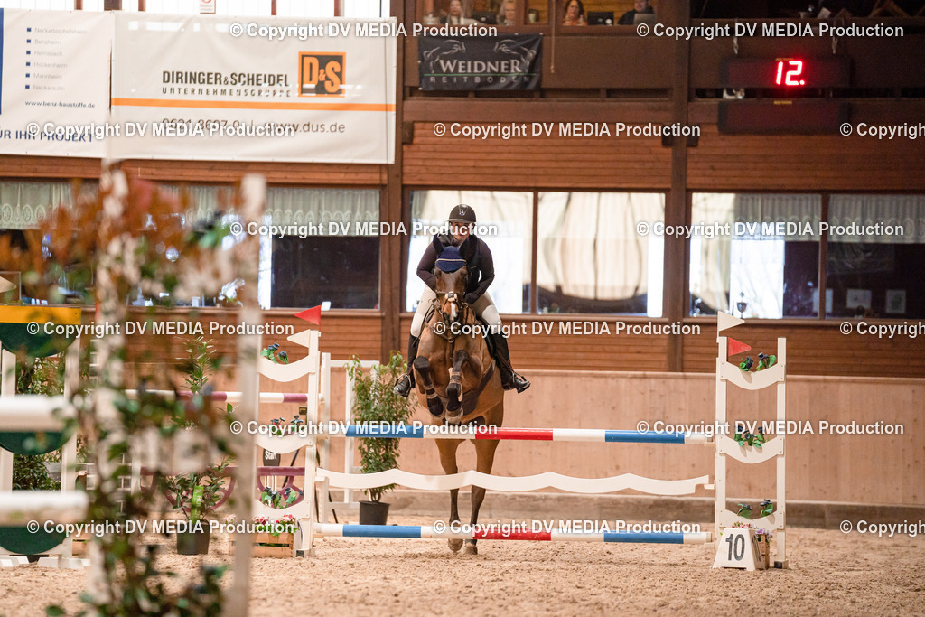 Springen Tag 3-076 | dv-media-shop - Realisiert mit Pictrs.com