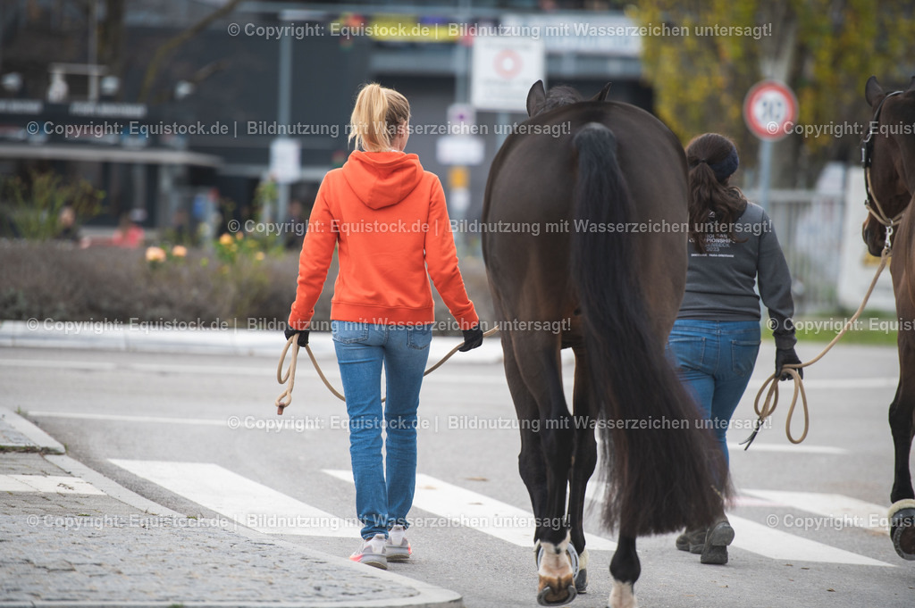 20251114_Jessica-von-Bredow-Werndl_TOMSPIC_0014 | Foto: Thomas Hartig