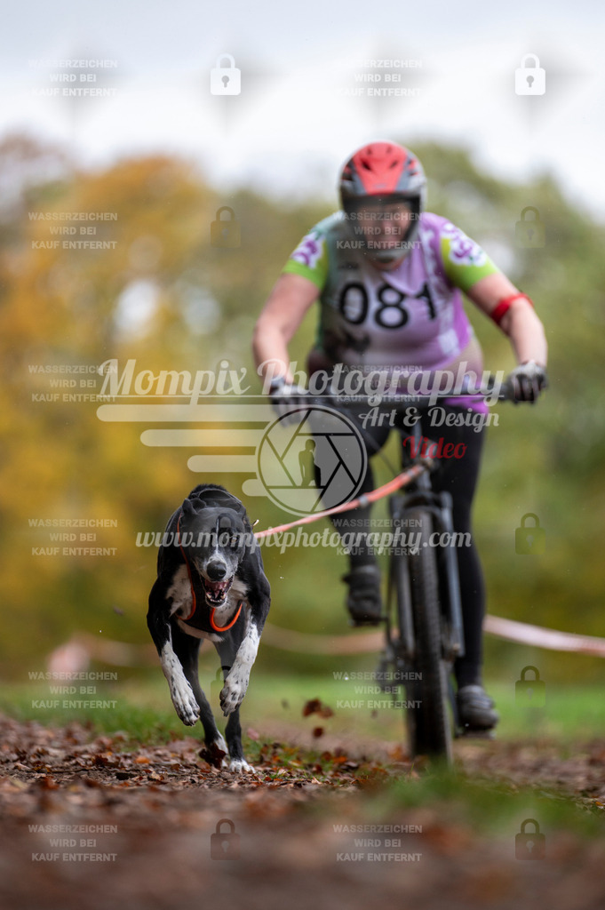 DBT_DAKM_SA_4_11_2023_Bike-32 | PayLife