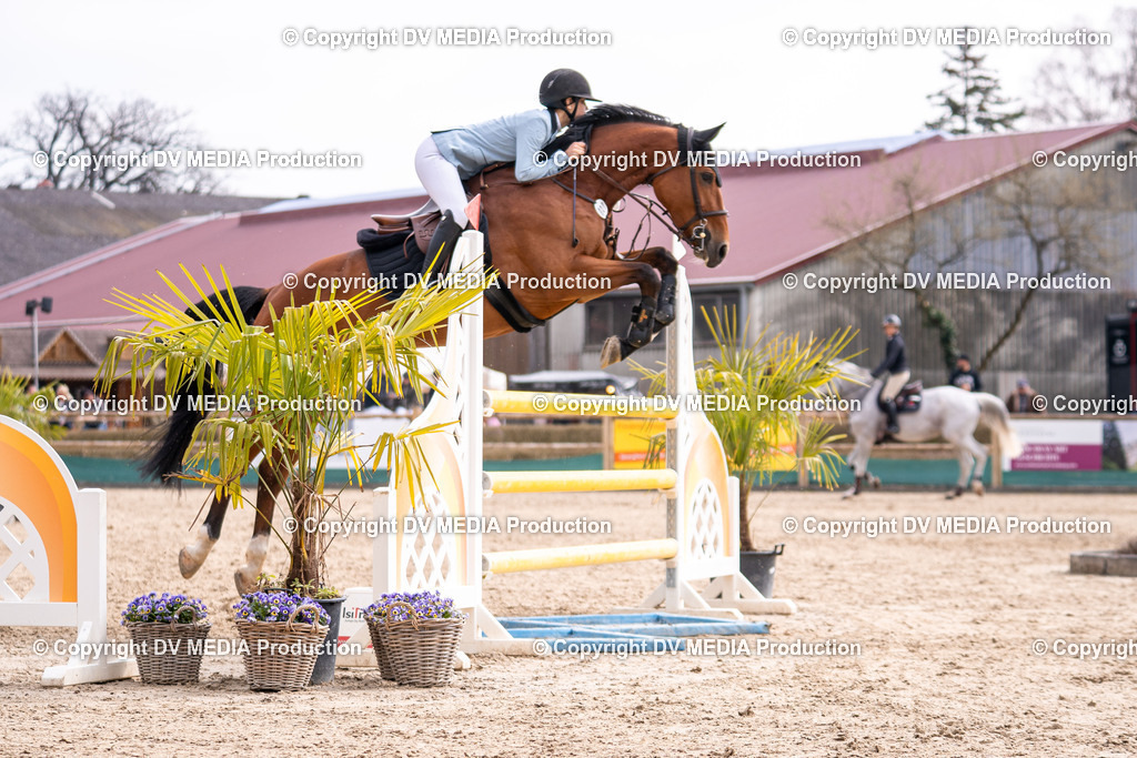 Kranichstein Tag 2-1734 | dv-media-shop - Realisiert mit Pictrs.com