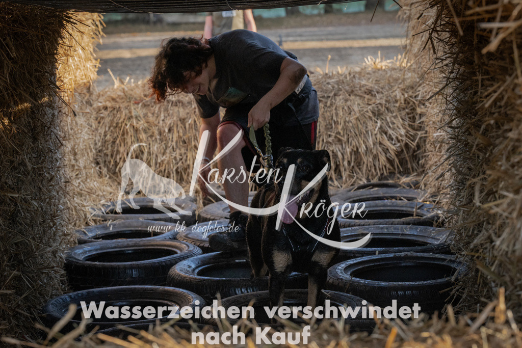 0945_ZZ94512 | kk-dogfotos