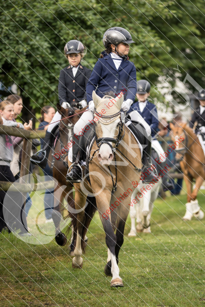 IMG_1581 | Sport-, Event- und Tierfotos in Profiqualität. Einfach auswählen, bestellen und herunterladen. Dein Moment – perfekt festgehalten.