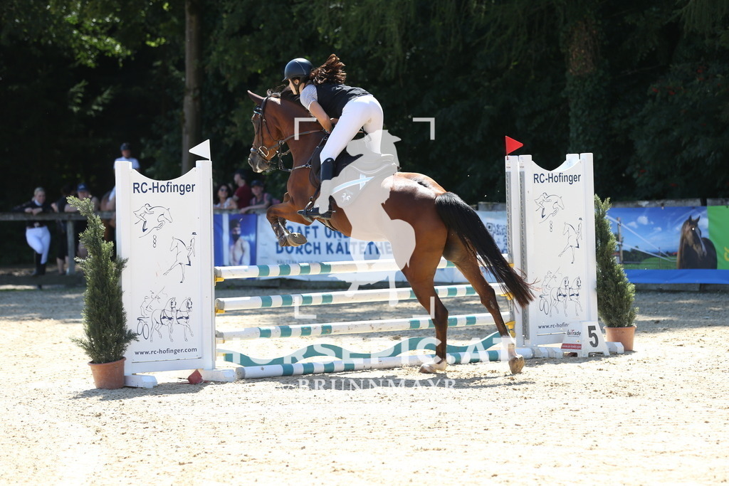 DL2Q8676 | Willkommen bei Brunnmayr - Design & Fotografie – Ihrem Spezialisten für Reitturniere und Pferdeveranstaltungen in Oberösterreich, Salzburg und Bayern! Seit über 17 Jahren sind wir leidenschaftlich dabei.