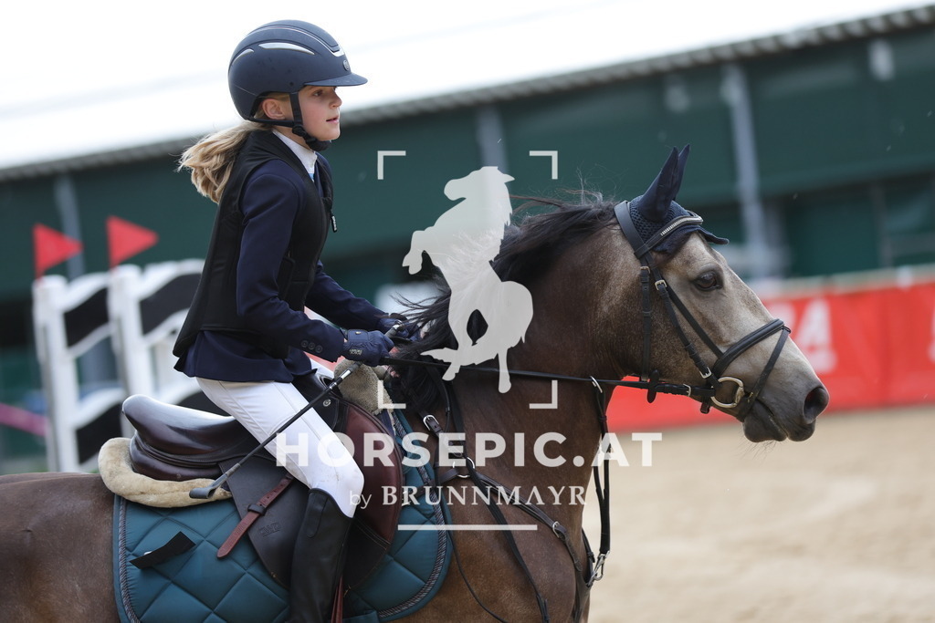 0P6A7110 | Willkommen bei Brunnmayr - Design & Fotografie – Ihrem Spezialisten für Reitturniere und Pferdeveranstaltungen in Oberösterreich, Salzburg und Bayern! Seit über 17 Jahren sind wir leidenschaftlich dabei.