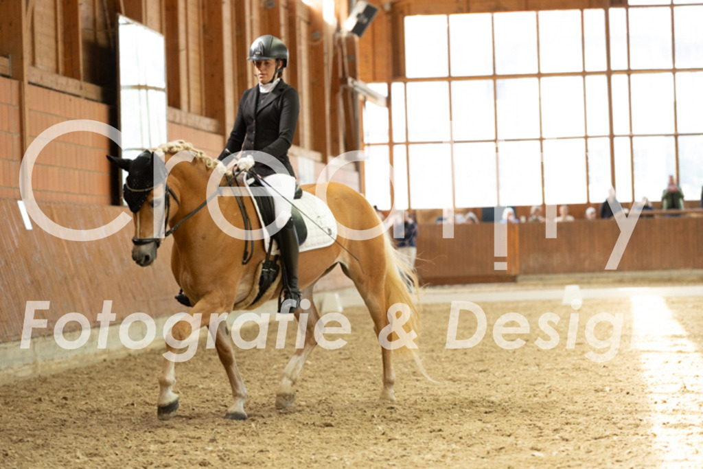 IMG_5910 | Creatify Fotografie