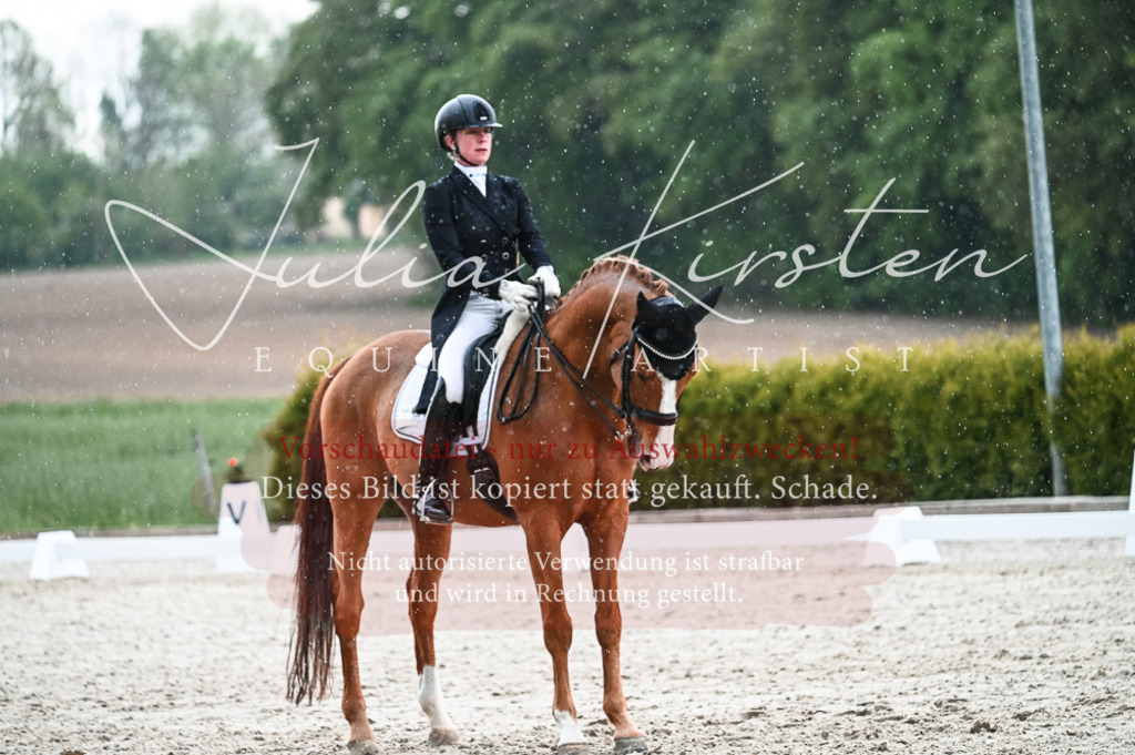 20230514_JK-Röhrsdorf-21-687 | Pferde- und Turnierfotografie in Westsachsen. Pferdeportraits, Auftragszeichnungen und intuitive Kunst.