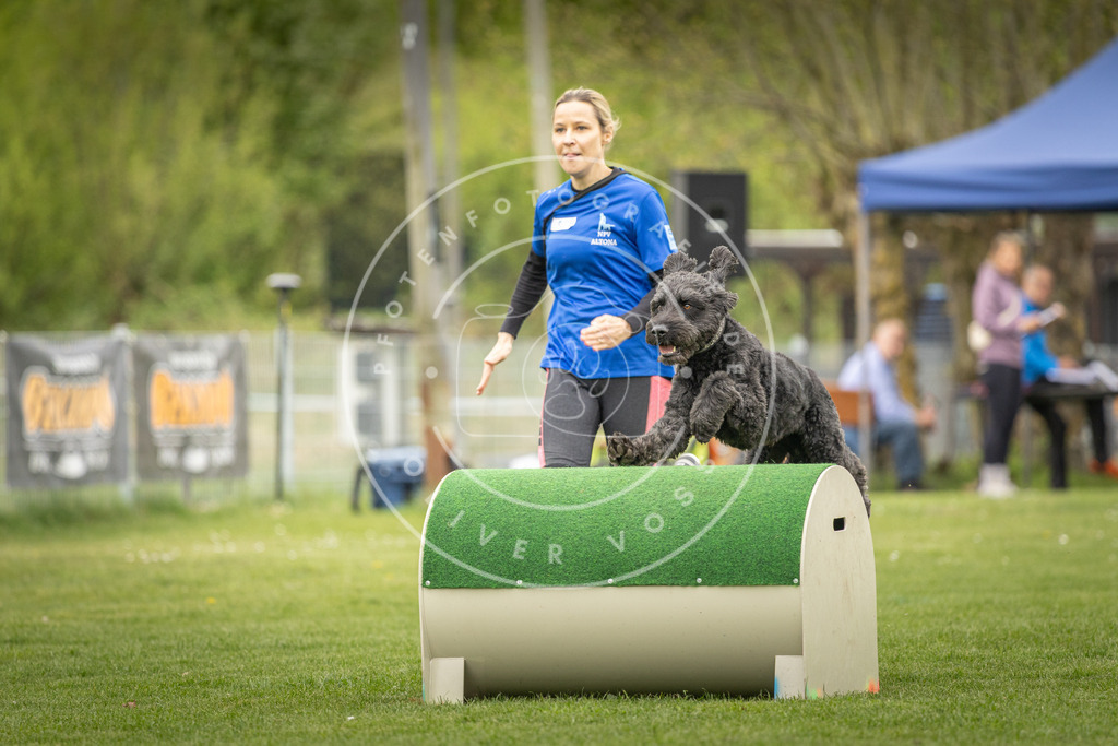 Pfotenfotografie_DV3A1426 | Hundefotografie, Tierfotograf, Pfotenfotografie, Fotoshooting Hund, Hunde Portrait, Hundesport, Hundeportraits, Heideshooting, Hunde, Sportfotograf, Hundefotograf, Turnierhundsport, THS,  - Realisiert mit Pictrs.com