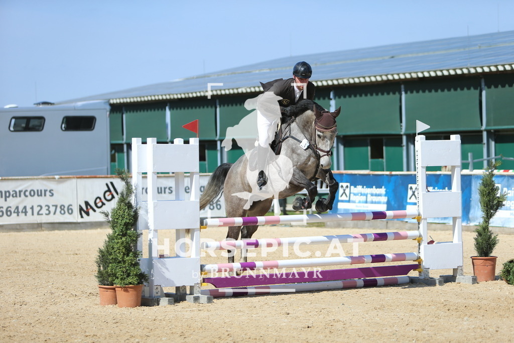 DL2Q3047 | Willkommen bei Brunnmayr - Design & Fotografie – Ihrem Spezialisten für Reitturniere und Pferdeveranstaltungen in Oberösterreich, Salzburg und Bayern! Seit über 17 Jahren sind wir leidenschaftlich dabei.