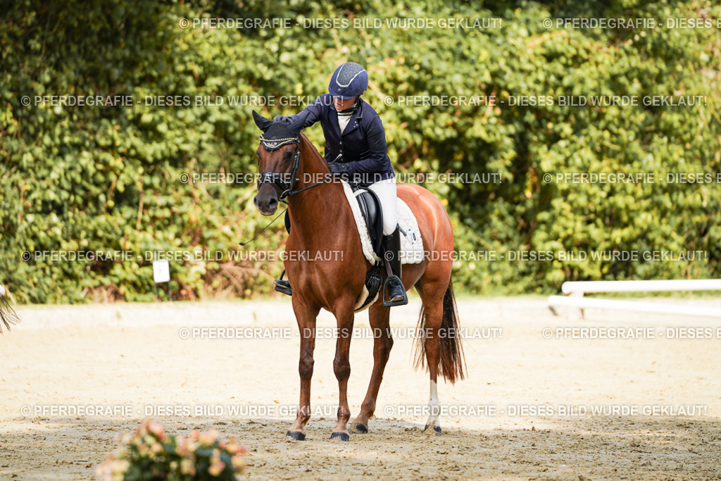 DSC02481 | Pferdegrafie