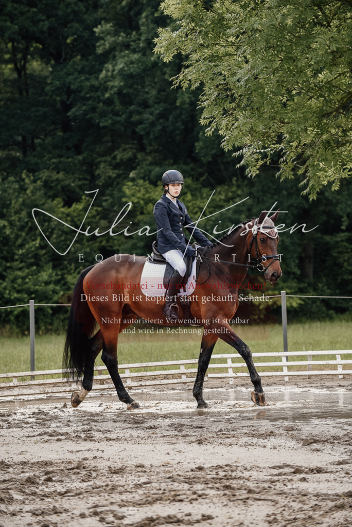 DSC_8580 | Pferde- und Turnierfotografie in Westsachsen. Pferdeportraits, Auftragszeichnungen und intuitive Kunst.