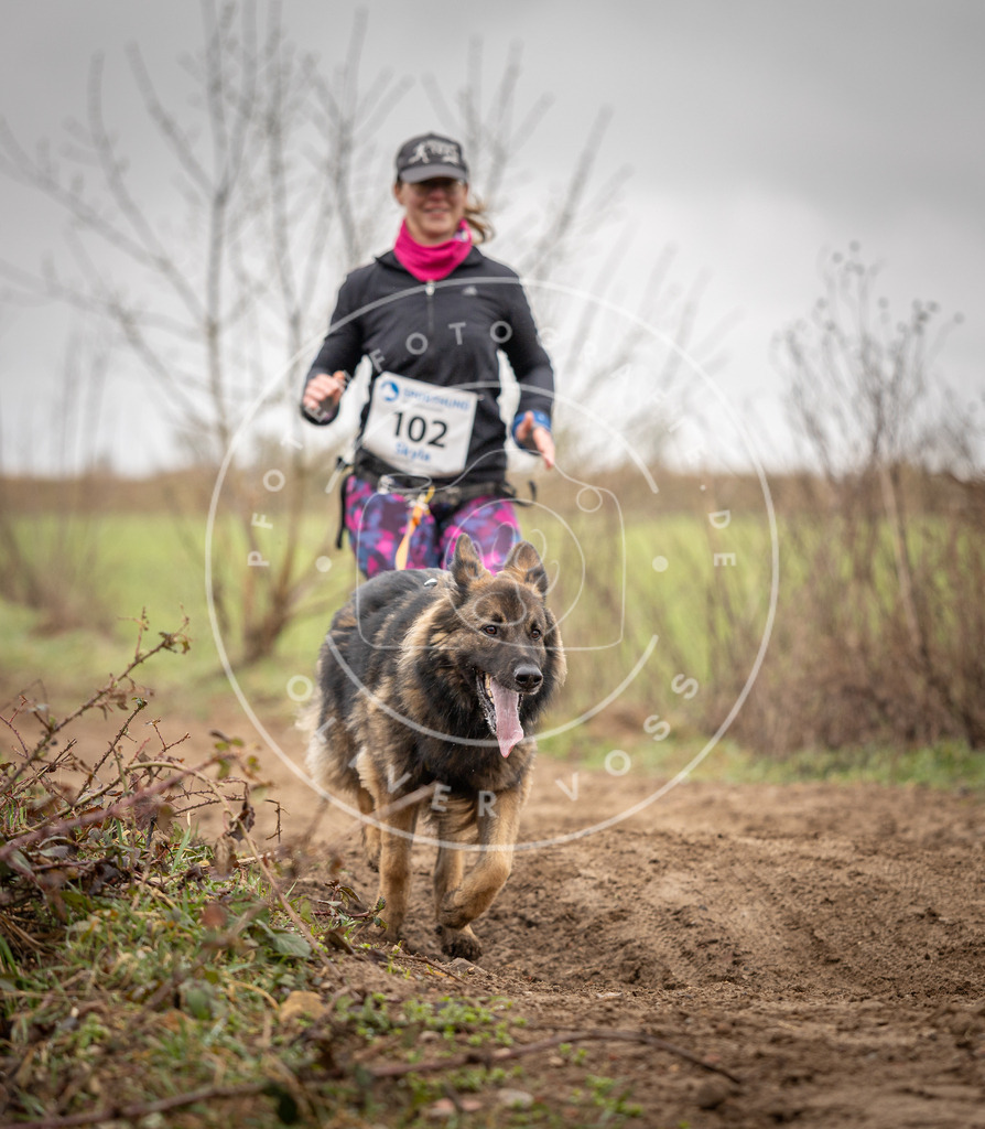 DV3A0174 | Hundefotografie, Tierfotograf, Pfotenfotografie, Fotoshooting Hund, Hunde Portrait, Hundesport, Hundeportraits, Heideshooting, Hunde, Sportfotograf, Hundefotograf, Turnierhundsport, THS,  - Realisiert mit Pictrs.com