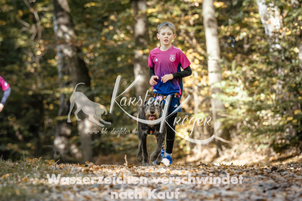 1222_ZZ94988 | kk-dogfotos
