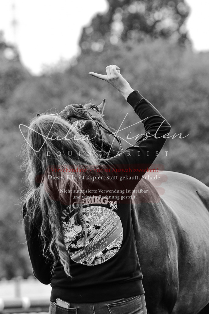 DSC_3984 | Pferde- und Turnierfotografie in Westsachsen. Pferdeportraits, Auftragszeichnungen und intuitive Kunst.