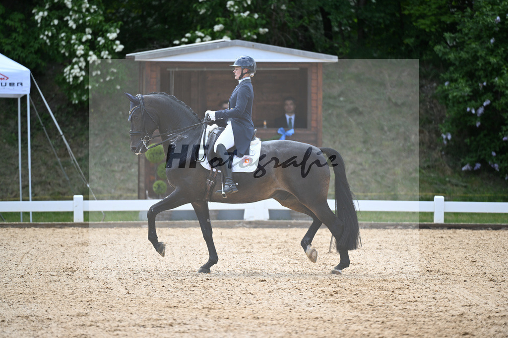 Beresford_Javino S_26265307 | hf-fotografie - Realisiert mit Pictrs.com