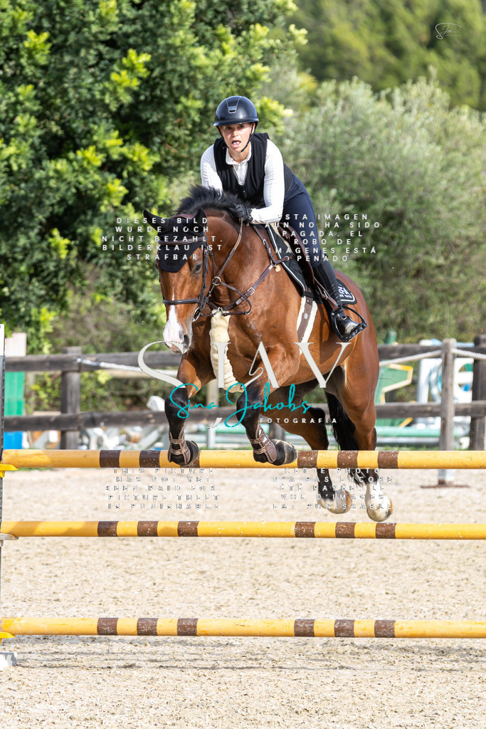 IMG_4040 | s-jay-photography - Realisiert mit Pictrs.com