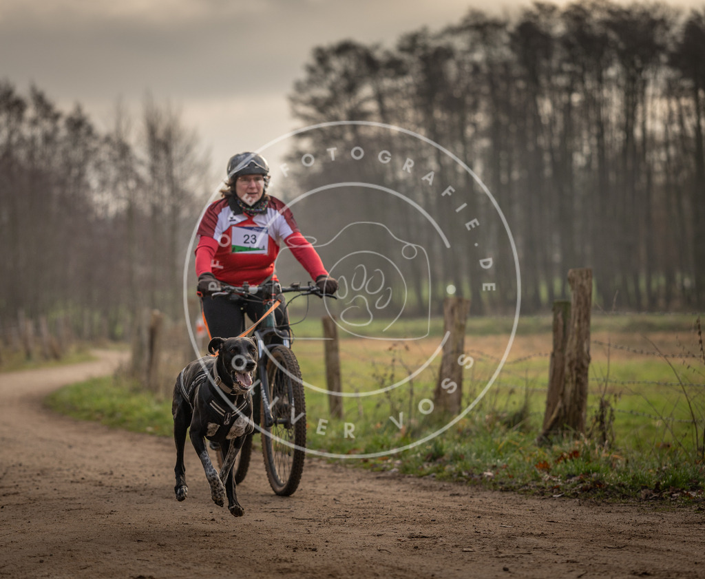 Pfotenfotografie_DV3A2000 | Hundefotografie, Tierfotograf, Pfotenfotografie, Fotoshooting Hund, Hunde Portrait, Hundesport, Hundeportraits, Heideshooting, Hunde, Sportfotograf, Hundefotograf, Turnierhundsport, THS,  - Realisiert mit Pictrs.com