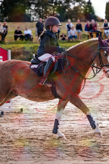 2026_10_03_Siefer-Hof_144438_Z81_18603937 | Professionelle Reitsport-, Turnier- und Eventfotografie von Robert Broda. Galerien mit ausgewählten und bearbeiteten Bildern direkt online ansehen und bestellen.