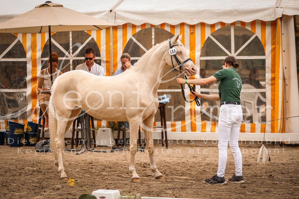 12.So00064 | Leoni Ertmer Photography - Realisiert mit Pictrs.com