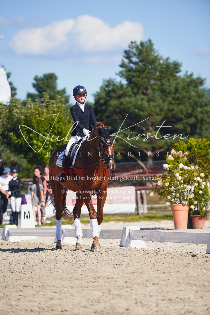 DSC_0160 | Pferde- und Turnierfotografie in Westsachsen. Pferdeportraits, Auftragszeichnungen und intuitive Kunst.