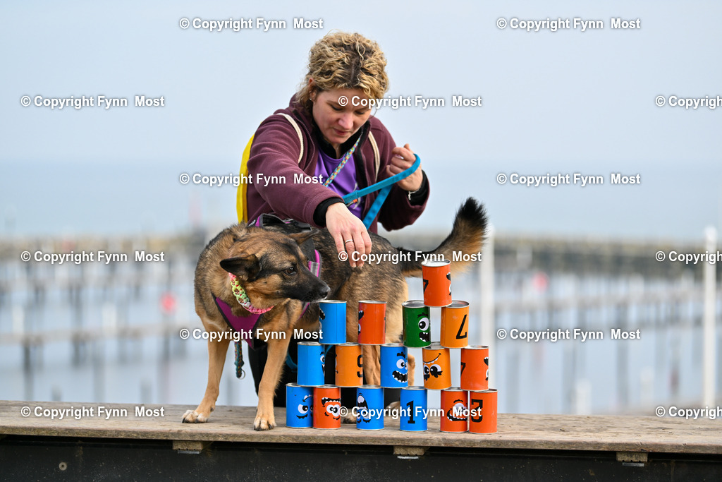 DSC_5017 | Hallo und herzlich Willkommen auf meiner Shop-Seite Fynn Most.

Ich wünsche Dir viel Spaß beim stöbern durch die Bilder, wenn Du Fragen hast oder Bilder vermisst, kannst du mir gerne eine Nachricht schreiben. - Realisiert mit Pictrs.com