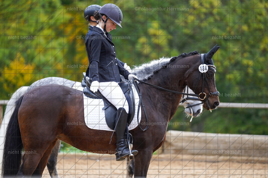 20221008-FAH00867 | Diessen am Ammersee, 2022, Dressur- und Springturnier, Reitsportbilder, Turnierfotografen Bayern, Pferdefotografen, Fotoagentur Herrmann, Turnierbilder