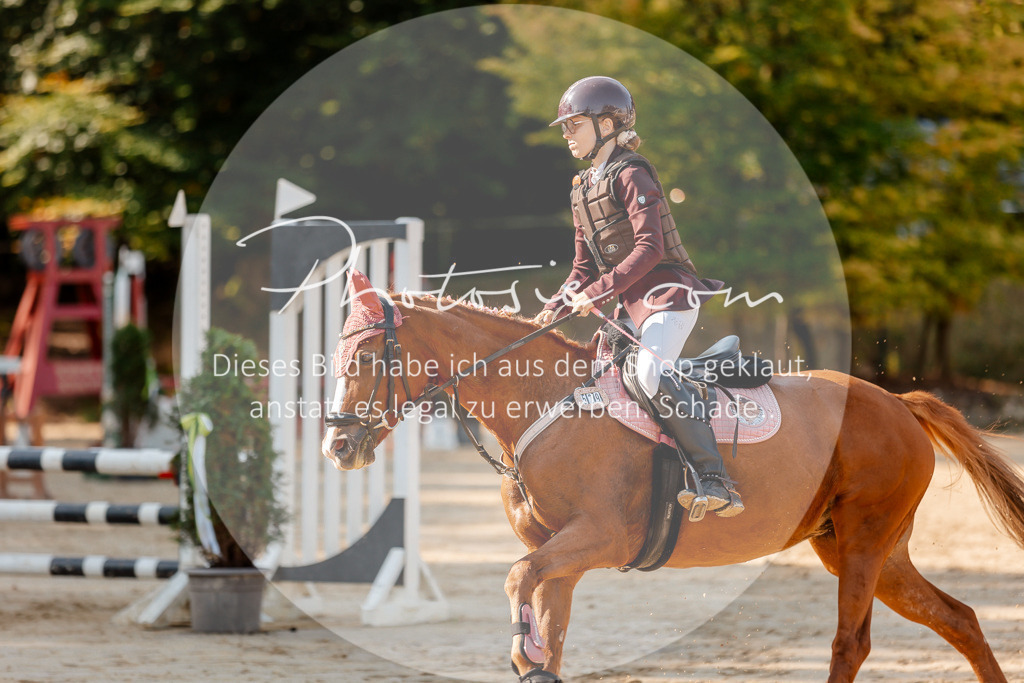 3I6A3323 | Stimmungsvolle Portraits und Reitsportfotografie im Ruhrgebiet und im Münsterland.

Pferdefotografie, Hundefotografie, Tierfotografie, Reportagen, Portraits von Tier und Mensch, Turnierfotografie in Bochum, Recklinghausen, Marl, Haltern am See, Dülmen.. - Realisiert mit Pictrs.com