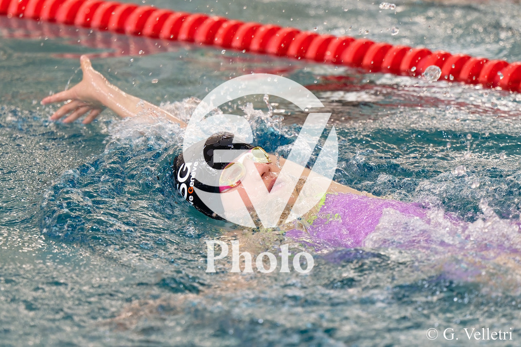 DSC_0691 | Velletri Photo