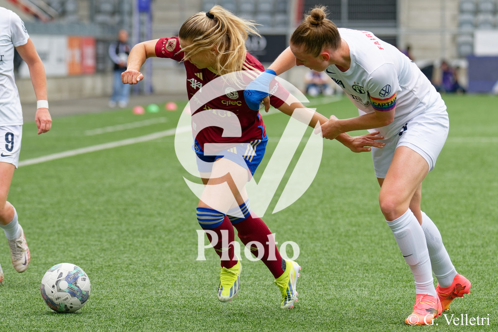 DSC_2195 | Velletri Photo