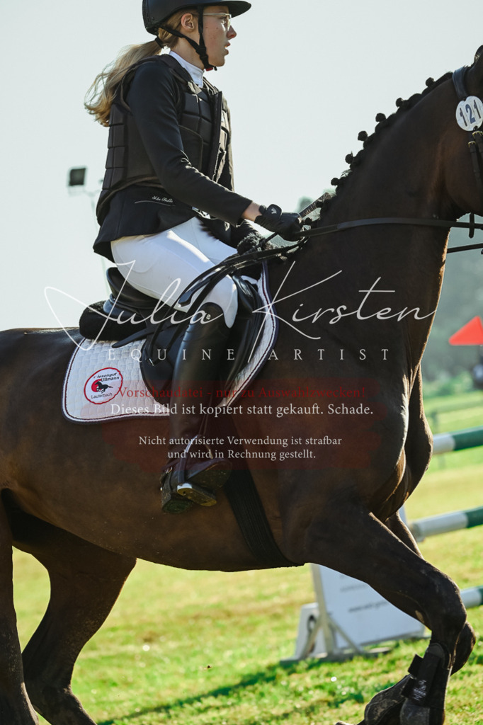 DSC_4220 | Pferde- und Turnierfotografie in Westsachsen. Pferdeportraits, Auftragszeichnungen und intuitive Kunst.