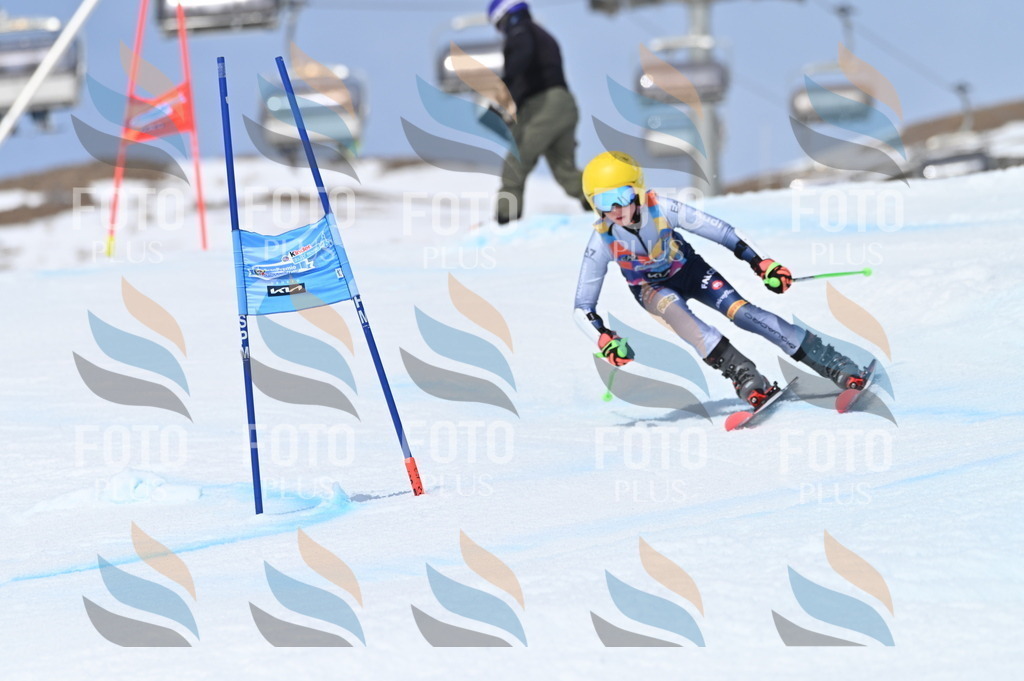 BGV_3938 | holidayphoto