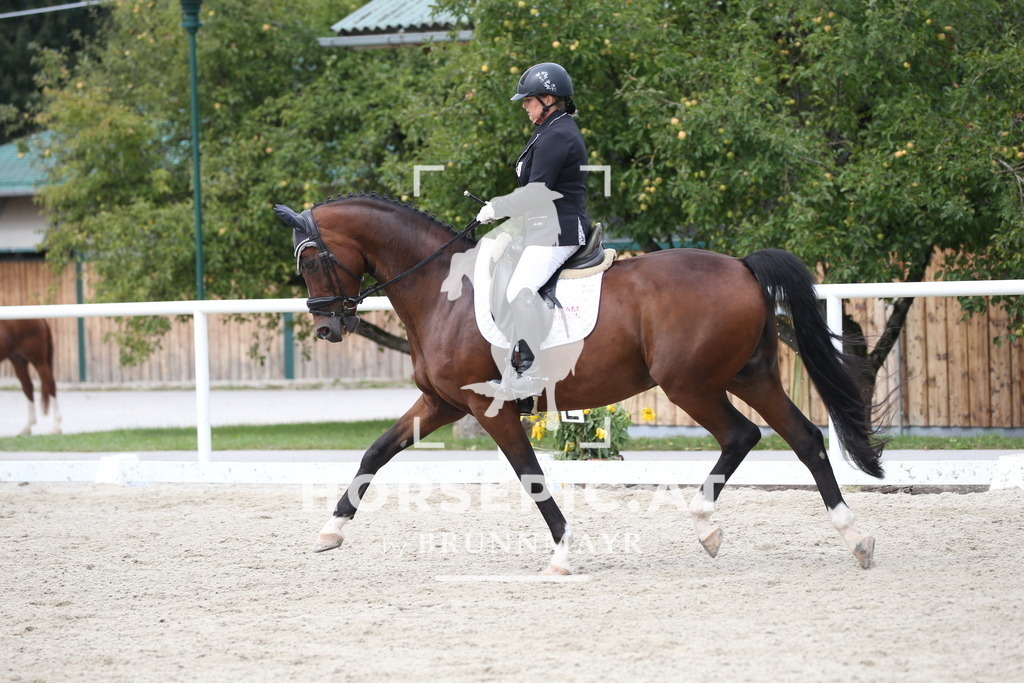 DL2Q3627 | Willkommen bei Brunnmayr - Design & Fotografie – Ihrem Spezialisten für Reitturniere und Pferdeveranstaltungen in Oberösterreich, Salzburg und Bayern! Seit über 17 Jahren sind wir leidenschaftlich dabei.