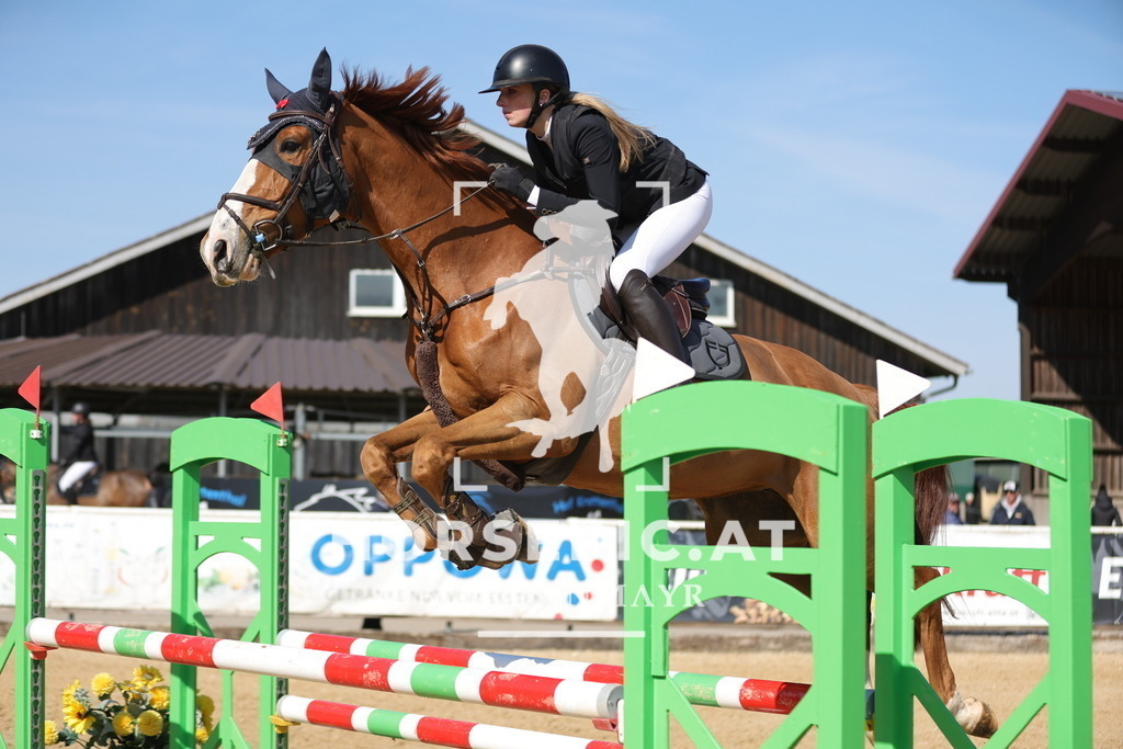 0P6A0058 | Willkommen bei Brunnmayr - Design & Fotografie – Ihrem Spezialisten für Reitturniere und Pferdeveranstaltungen in Oberösterreich, Salzburg und Bayern! Seit über 17 Jahren sind wir leidenschaftlich dabei.