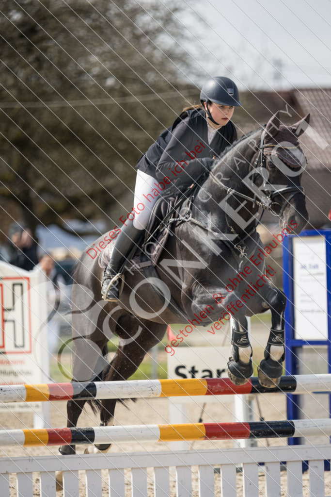 IMG_4321 | Sport-, Event- und Tierfotos in Profiqualität. Einfach auswählen, bestellen und herunterladen. Dein Moment – perfekt festgehalten.