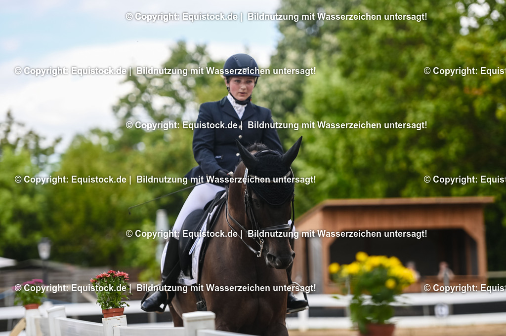 20230716_01_Dressurprüfung Kl.M_0412 | equistock