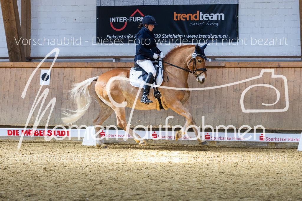 Sth-LPO25-DrR-L-137 | MomenTaufnahmen Pferdesportfotos