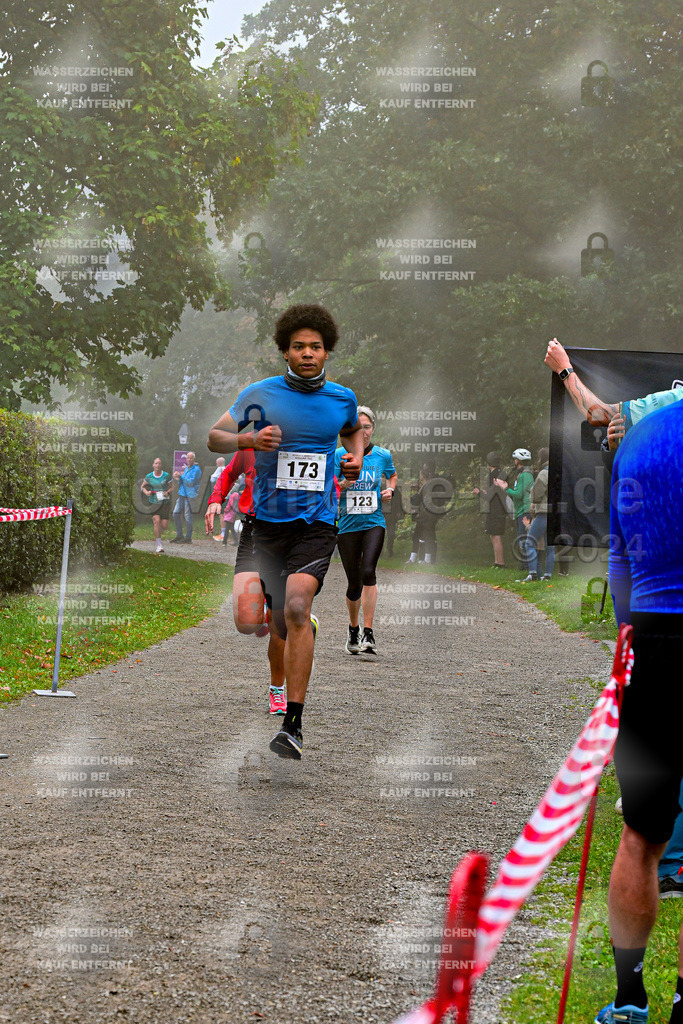 Z8N_1776 | la-psv - Realisiert mit Pictrs.com