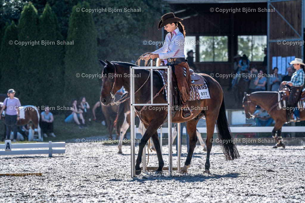 HOB09557 | BS-foto