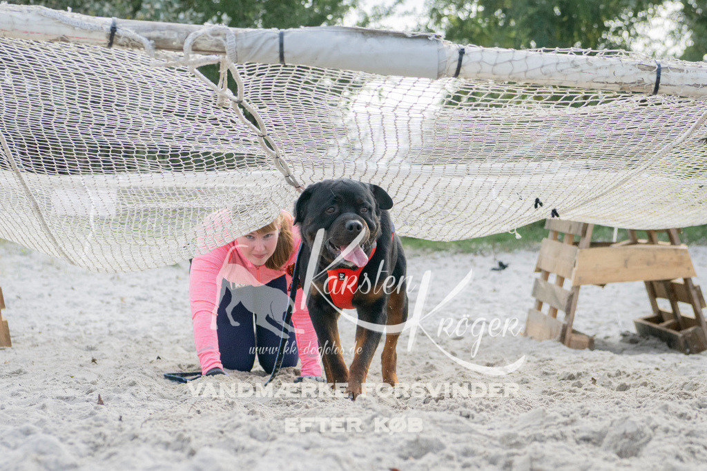 1338_ZZ98177 | kk-dogfotos