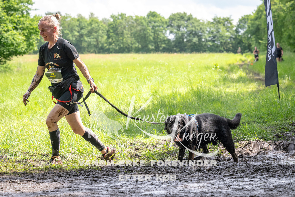 1237_ZZ92664 | kk-dogfotos
