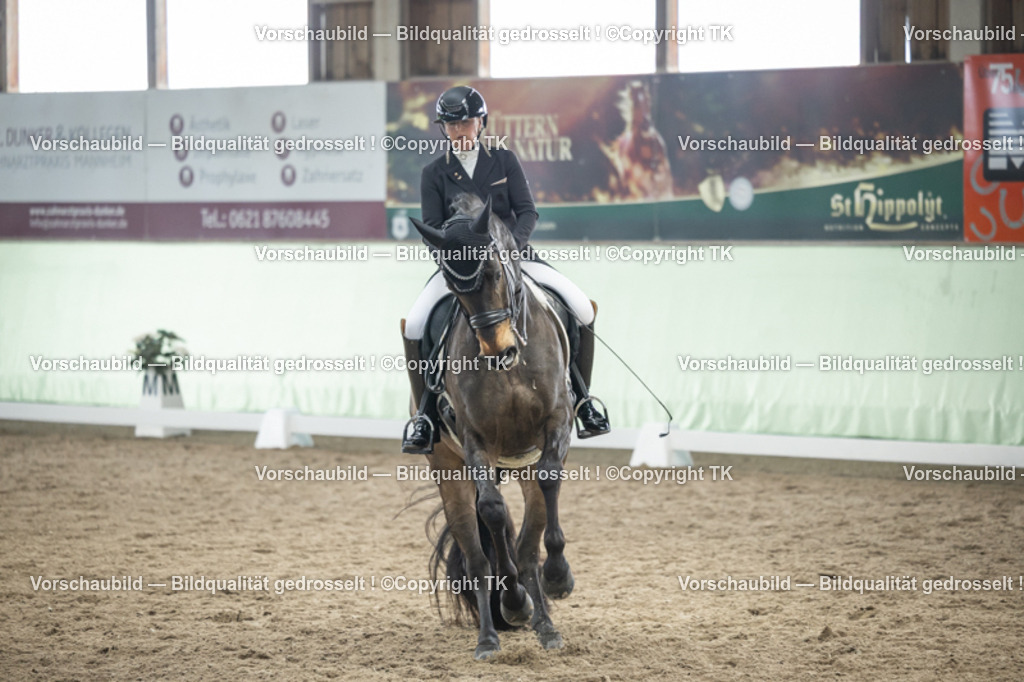 _D5A6100 | Emotionale Pferde- & People-Fotografie rund um Heidelberg, Leimen & Umgebung. Natürliche Fotos von Pferd, Mensch & Familie. Jetzt Termin sichern!