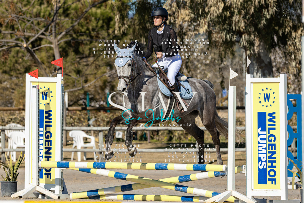 IMG_8186 | s-jay-photography - Realisiert mit Pictrs.com