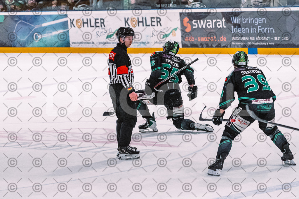 Alligators_vs_Selb_27_02_2026-39 | Höchstadt Alligators Fotogalerie: Eishockey-Action aus Franken. Professionelle Spielfotos, Portraits & Stadionbilder zum Download. Jetzt entdecken! - Realisiert mit Pictrs.com