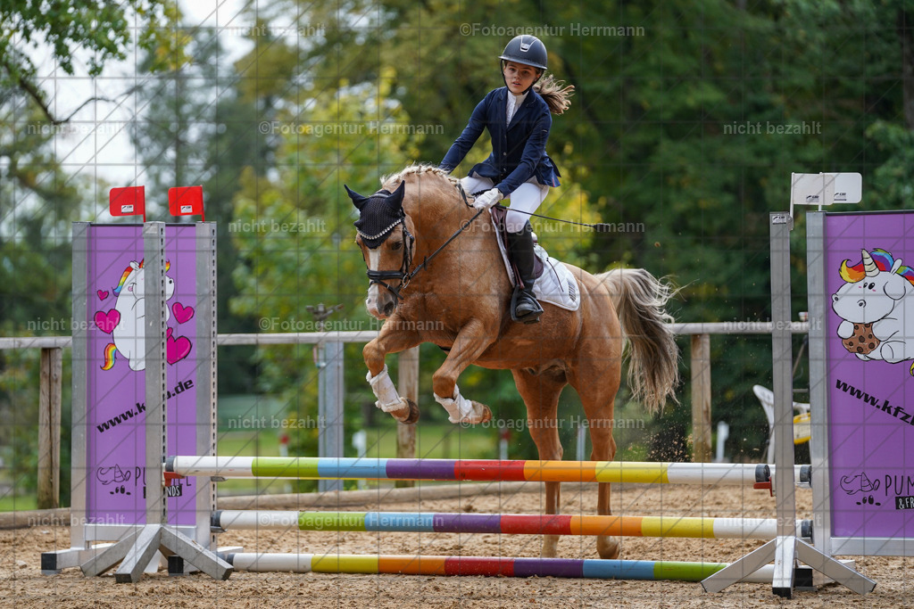 20231008-SN_01117 | Professionelle Turnier- und Reitsportfotografie - mit dem Finger am Auslöser. Pferdebilder aus dem Reitsport von den Turnierfotografen  Bayern , Pferdefotograf Bayern, Pferdeshooting Turnierbilder, Hochzeitsfotograf, Eventfotograf, Hochzeitsbilder