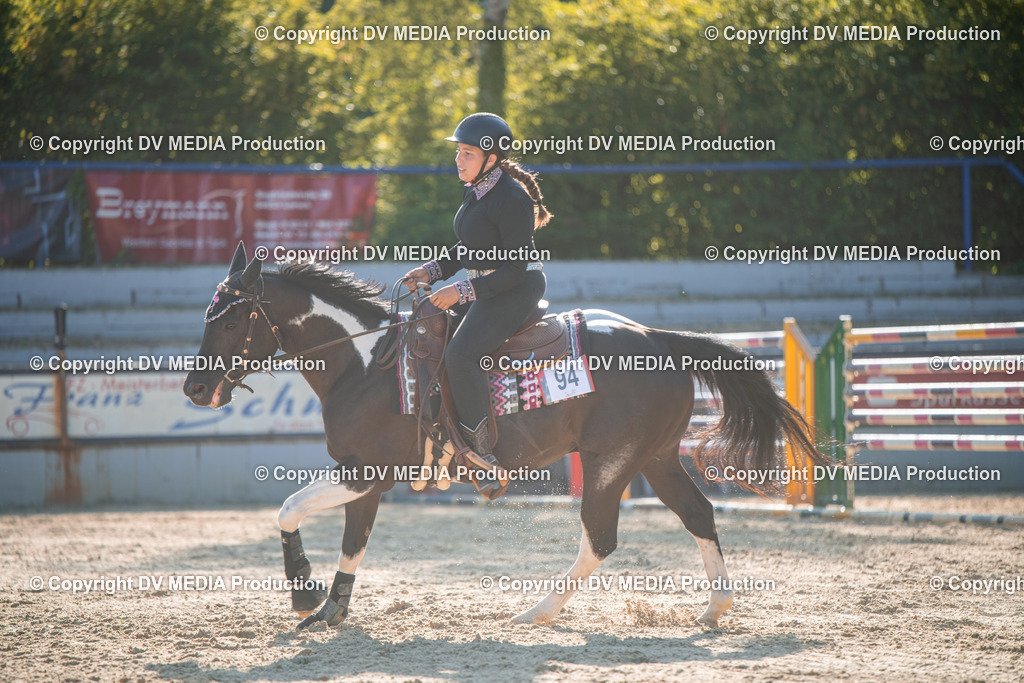 EWP_7100 | dv-media-shop - Realisiert mit Pictrs.com