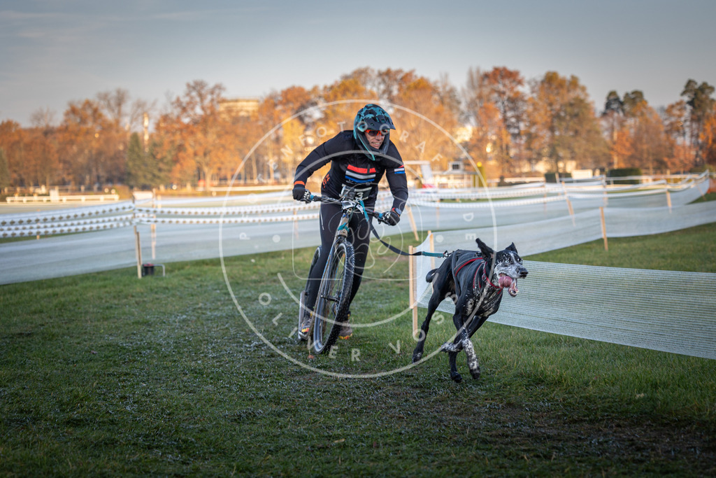 CaniXpix_0L8A1487 | Hundefotografie, Tierfotograf, Pfotenfotografie, Fotoshooting Hund, Hunde Portrait, Hundesport, Hundeportraits, Heideshooting, Hunde, Sportfotograf, Hundefotograf, Turnierhundsport, THS,  - Realisiert mit Pictrs.com